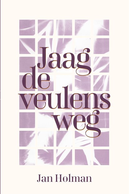Jaag de veulens weg, Jan Holman - Ebook - 9789083468631
