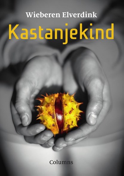 Kastanjekind, Wieberen Elverdink - Paperback - 9789083468945