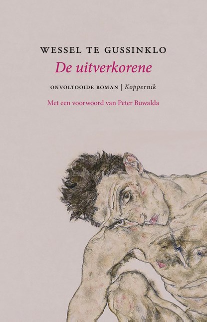 De uitverkorene, Wessel te Gussinklo - Ebook - 9789083479132