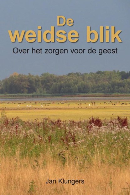 De Weidse Blik, Jan Klungers - Paperback - 9789083487762