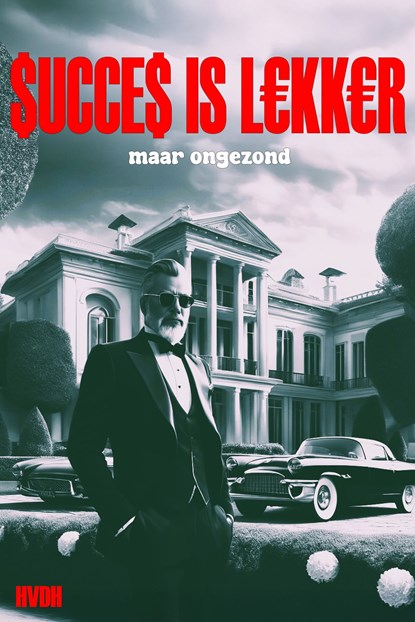 Succes is lekker maar on gezond, Haye Van der Heyden - Ebook - 9789083533599