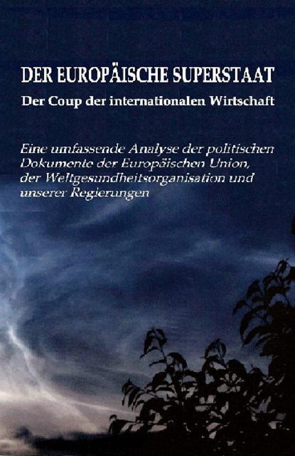 Der Europäische Superstaat - Der Coup der internationalen Wirtschaft, Robin De Ruiter - Paperback - 9789083660912