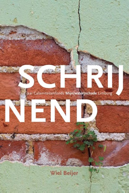 Schrijnend, Wiel Beijer - Paperback - 9789083674803