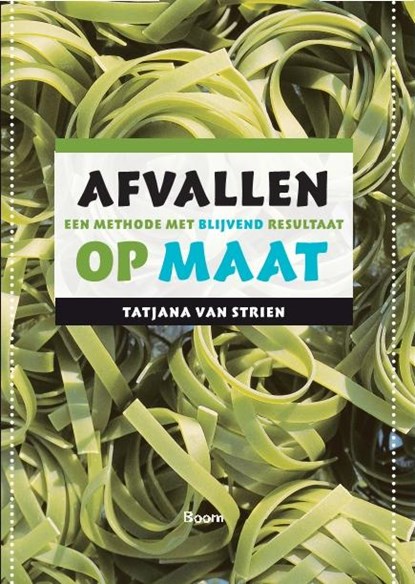 Afvallen op maat, T. van Strien - Paperback - 9789085064596