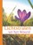 Lichtstralen uit het Woord 2020, niet bekend - Paperback - 9789085203247