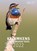 Kruimkens van 's Heeren tafel 2022, niet bekend - Paperback - 9789085203384