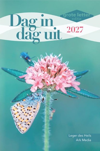 Dag in dag uit | Grote letter editie | 2027, niet bekend - Paperback - 9789085203797