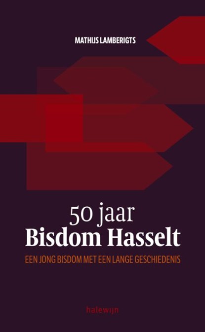 50 jaar Bisdom Hasselt, Mathijs Lamberigts - Paperback - 9789085284376