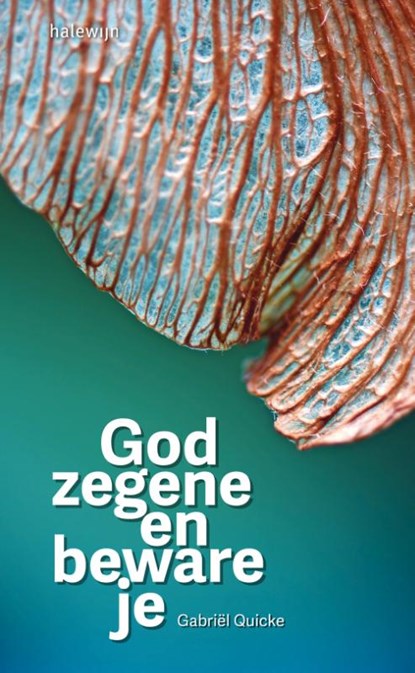 God zegene en beware je, Gabriel Quicke - Paperback - 9789085284437