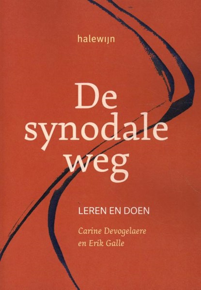 De synodale weg, niet bekend - Paperback - 9789085286394