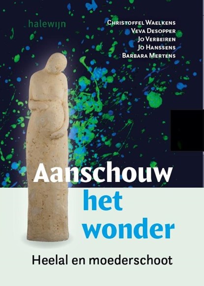 Aanschouw het wonder, Christoffel Waelkens ; Veva Desopper ; Jo Verbeiren ; Jo Hanssens ; Barbara Mertens - Paperback - 9789085287049
