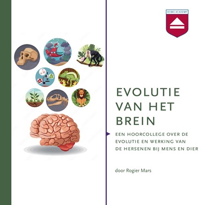 Evolutie van het brein, Rogier Mars - Luisterboek MP3 - 9789085302278