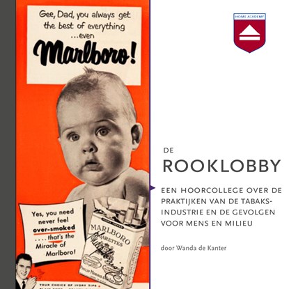 De rooklobby, Wanda de Kanter - Luisterboek MP3 - 9789085302568