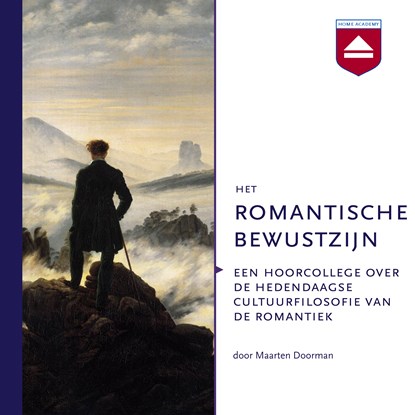 Het romantische bewustzijn, Maarten Doorman - Luisterboek MP3 - 9789085309192