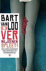 O vermiljoenen spleet - Bart Van Loo - 9789085424956