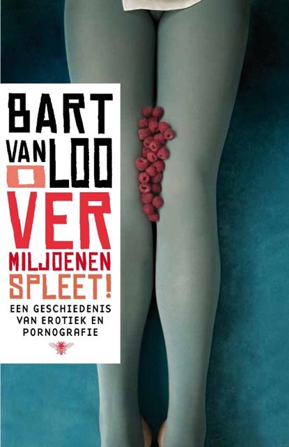O vermiljoenen spleet, Bart Van Loo - Paperback - 9789085424956