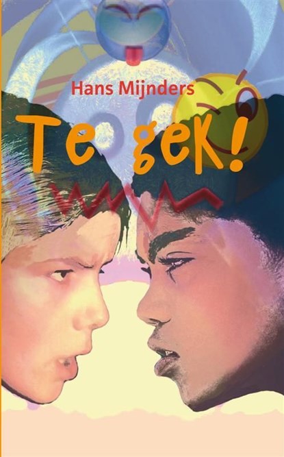 Te gek!, Hans Mijnders - Ebook - 9789085431749
