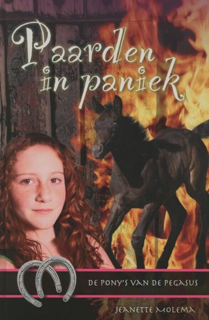 Paarden in paniek, MOLEMA, Jeanette - Gebonden - 9789085431978