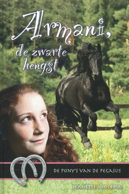 Armani  de zwarte hengst, Jeanette Molema - Gebonden - 9789085432050
