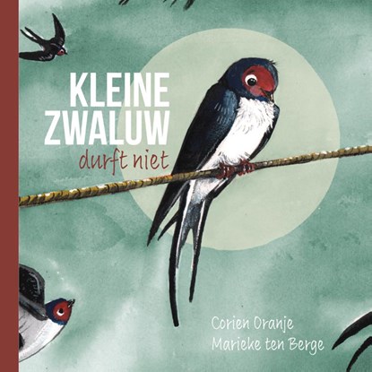 Kleine zwaluw durft niet, Corien Oranje - Gebonden - 9789085434580