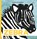 Zebra, Arlette Van Ipenburg - Gebonden - 9789085600725