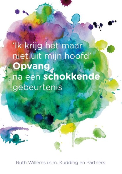 Ik krijg het maar niet uit mijn hoofd, Ruth Willems - Paperback - 9789085604563