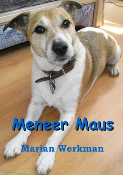Meneer Maus, Marian Werkman - Paperback - 9789085701620