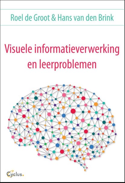 Visuele informatieverwerking en leerproblemen, Roel de Groot ; Hans van den Brink - Paperback - 9789085750598