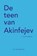 De teen van Akinfejev, J.H. van Geemert - Paperback - 9789086050307
