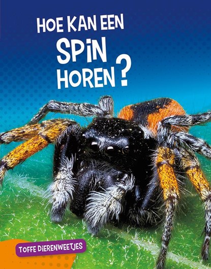 Hoe kan een spin horen?, Nancy Furstinger - Gebonden - 9789086647309