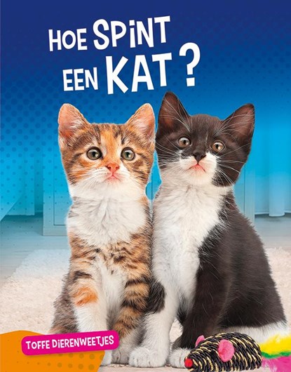 Hoe spint een kat?, Nancy Furstinger - Gebonden - 9789086647323