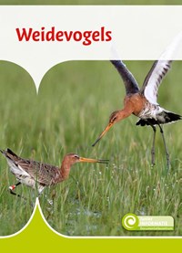 Weidevogels | Geert-Jan Roebers | 