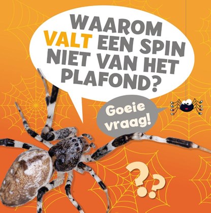 Waarom valt een spin niet van het plafond?, Nancy Dickmann - Gebonden - 9789086649204