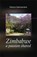 Zimbabwe, a passion shared, Patrice Delchambre - Paperback - 9789086662821