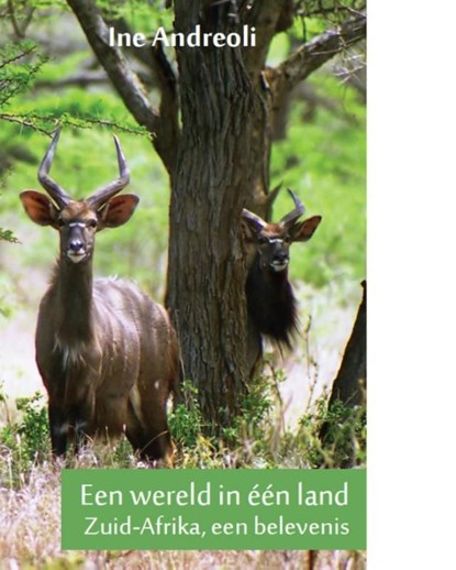 Een wereld in een land, Ine Andreoli - Ebook - 9789086663002