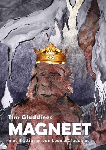 Magneet, Tim Gladdines - Gebonden - 9789086663156