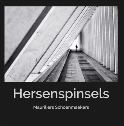 Hersenspinsels, Mauriel Schoenmaekers - Paperback - 9789086664184