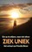 Ziek uniek, Priscilla Meser - Paperback - 9789086665631