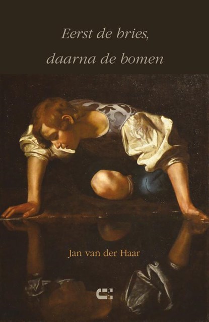 Eerst de bries, daarna de bomen, Jan van der Haar - Paperback - 9789086841905