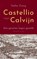 Castellio tegen Calvijn, Stefan Zweig - Paperback - 9789086842797
