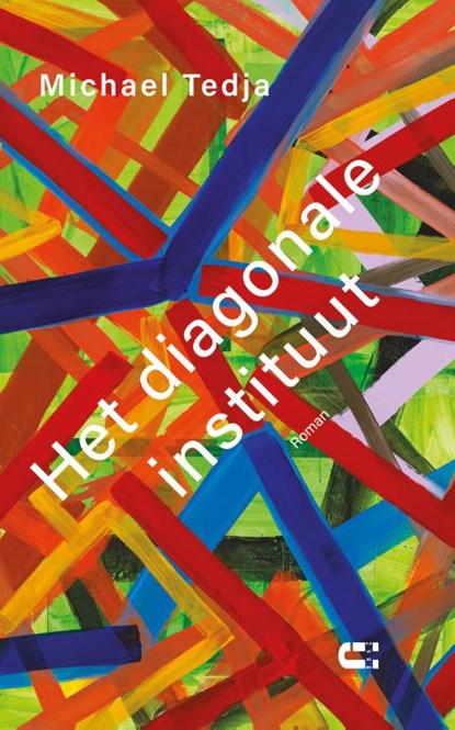 Het diagonale instituut, Michael Tedja - Paperback - 9789086842988