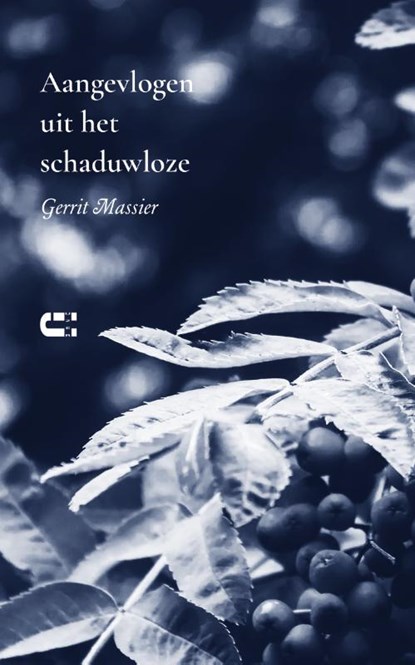Aangevlogen uit het schaduwloze, Gerrit Massier - Paperback - 9789086843336
