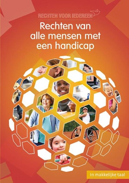 Rechten van alle mensen met een handicap, Willemijn Steutel - Gebonden - 9789086962501