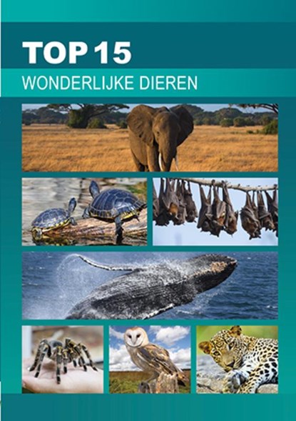 Wonderlijke dieren, Willemijn Steutel - Paperback - 9789086962662