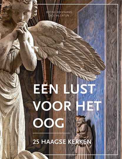 Een lust voor het oog, Botine Koopmans - Gebonden - 9789087049089