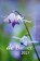 Banier Dagboekkalender 2021, Diverse Predikanten - Paperback - 9789087182939