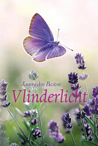 Vlinderlicht, Janny den Besten - Paperback - 9789087183783