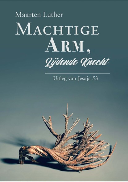 Machtige Arm, lijdende Knecht, Maarten Luther - Ebook - 9789087187491