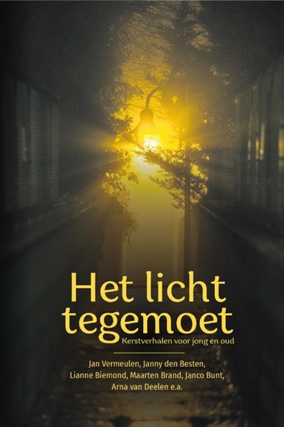 Het licht tegemoet, Jan Vermeulen ; Janny den Besten ; Lianne Biemond ; Maarten Brand ; Janco Bunt ; Arna van Deelen ; Marjanne Hendriksen ; Anita Kramer ; Hanneke Mostert ; Everdien Noorlander ; Tonja Versluis ; Sytse van der Veen - Paperback - 9789087188344
