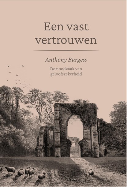 Een vast vertrouwen, Anthony Burgess - Ebook - 9789087188665